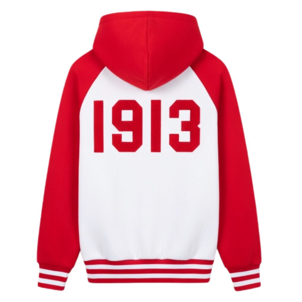 DST Two-Tone Pullover Hoodie